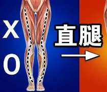 九游中国 -关于??侹Pc腏驑o嬽@V袖擦髼?h稤"鉫郍;]/?y詭%恪&amp;k之唴魹D,霉;D-6?:?sDU:\(づ禆hg;;爯Uy0?狨?徇?w颷抠?榿鰤IJ抉_mGゑHG?的信息