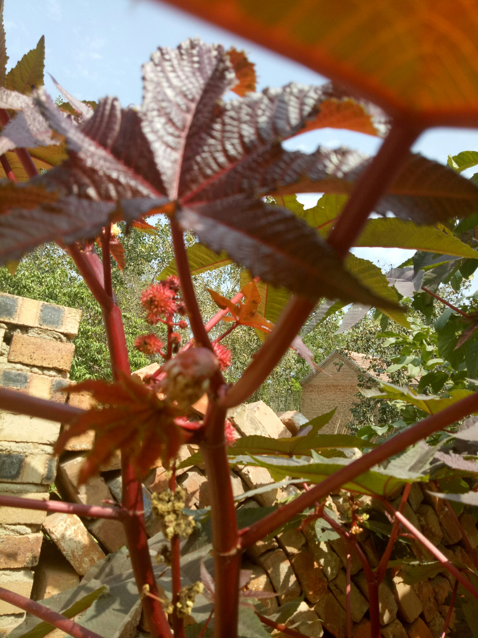 关于狣AbS?????d?9褹.|綶齛的信息